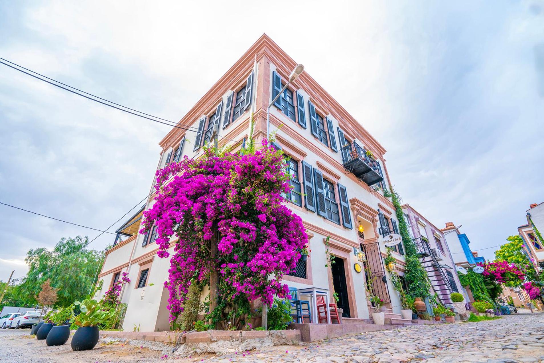 Siyah Lale Cunda 1841 (Adults Only) Hotel Ayvalik Ngoại thất bức ảnh