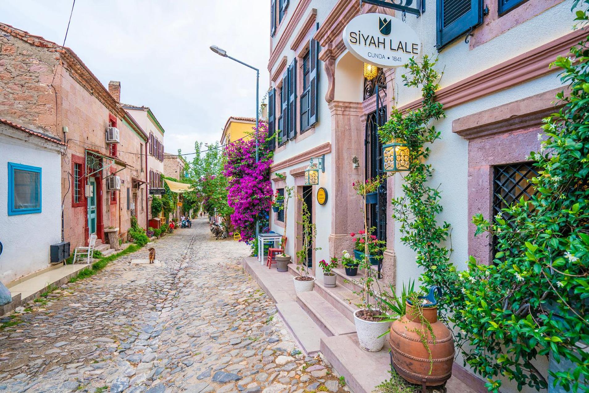 Siyah Lale Cunda 1841 (Adults Only) Hotel Ayvalik Ngoại thất bức ảnh